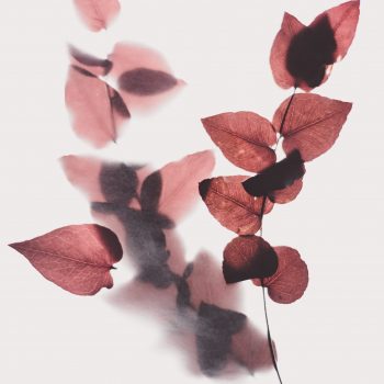 Behandeling bij Praktijk Vie