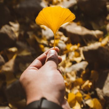 Identiteit relatietherapie systeemtherapie