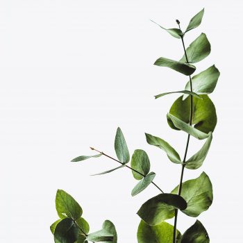 Ouderbegeleiding opvoedondersteuning bij Praktijk Vie